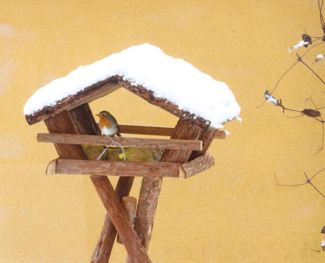 Le Chant Des Oiseaux - Au Pied De La Voie Cyclable Crevechamps エクステリア 写真